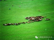世界这么大，一定要来太仆寺旗看看