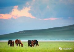 天边草原乌拉盖、给你个旅行的理由