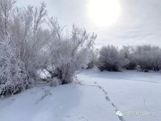 当浑善达克遇上冬雪，太美了！