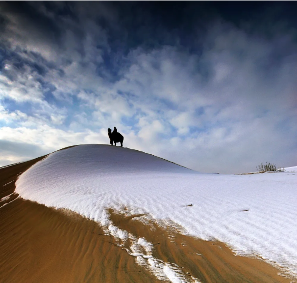 推荐 | 在北疆的冬天，深情相遇，放飞梦想！
