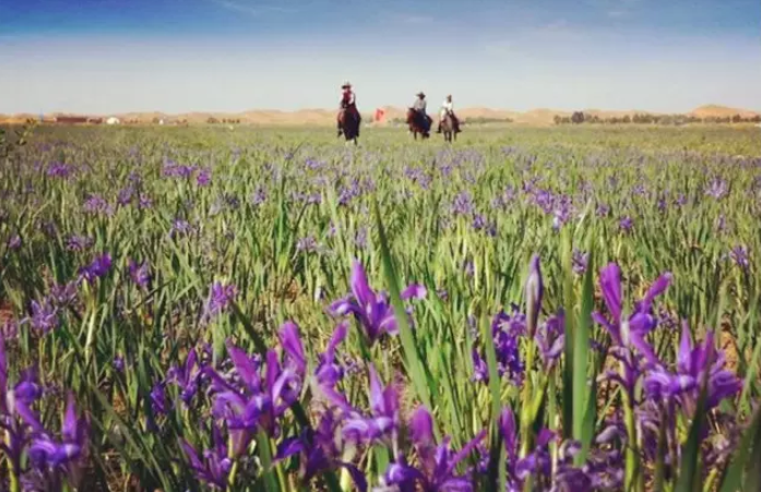 视界丨内蒙古的春天已经来了，绿色还会远吗？